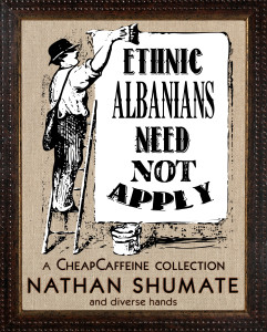 ethnic albanians front